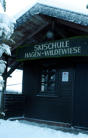 Ski