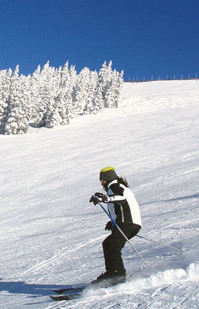 Ski